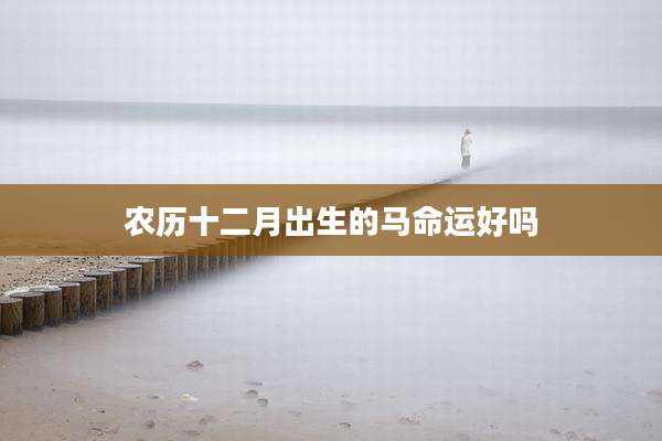 农历十二月出生的马命运好吗