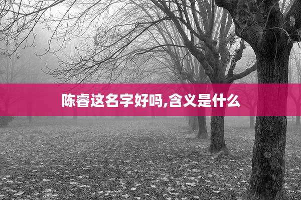陈睿这名字好吗,含义是什么