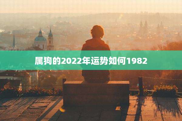 属狗的2022年运势如何1982