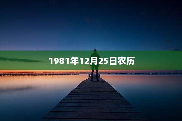 1981年12月25日农历