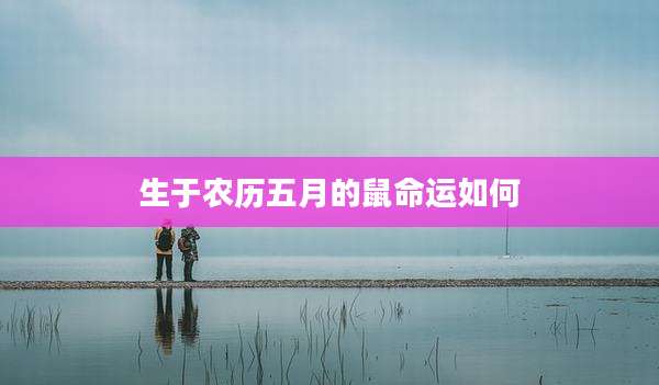 生于农历五月的鼠命运如何