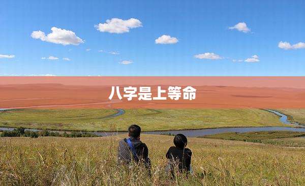 八字是上等命