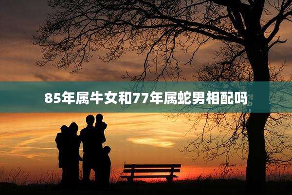 85年属牛女和77年属蛇男相配吗