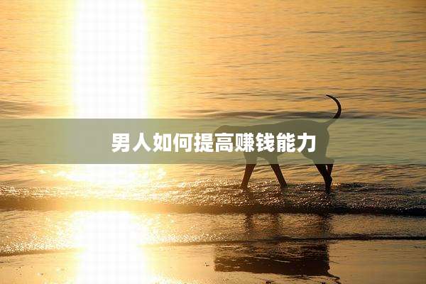 男人如何提高赚钱能力