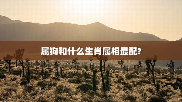 属狗和什么生肖属相最配?