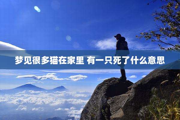 梦见很多猫在家里 有一只死了什么意思