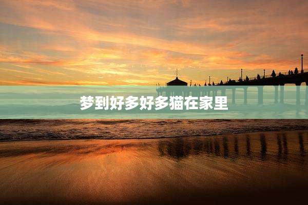梦到好多好多猫在家里
