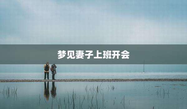 梦见妻子上班开会