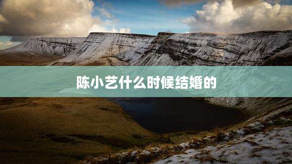 陈小艺什么时候结婚的