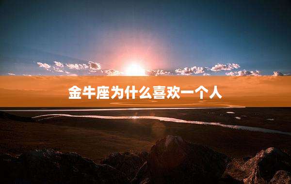 金牛座为什么喜欢一个人