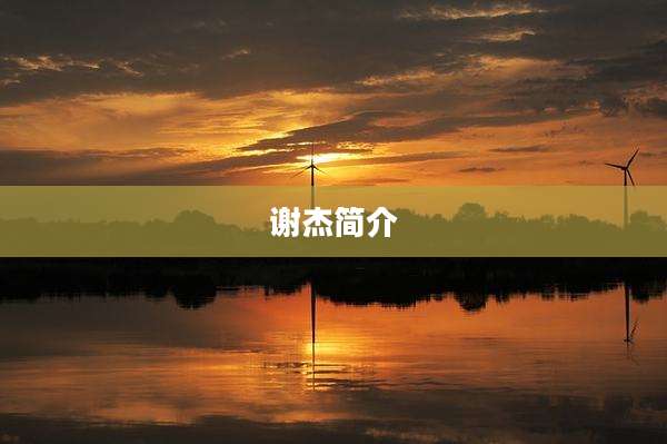 谢杰简介