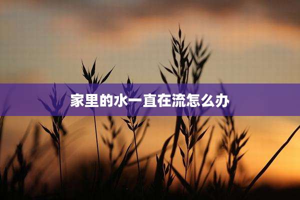 家里的水一直在流怎么办