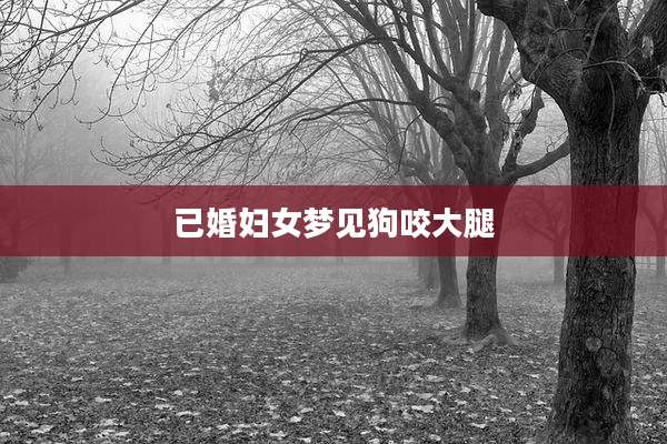 已婚妇女梦见狗咬大腿