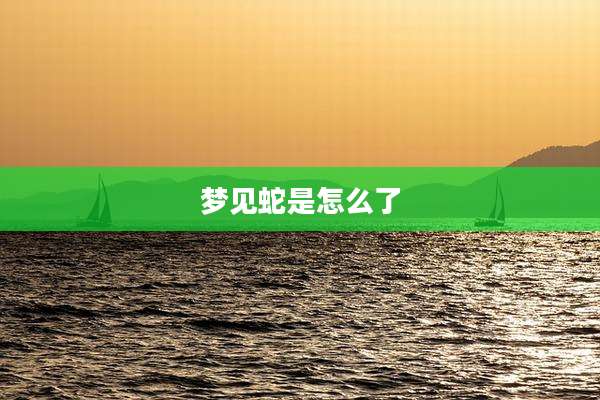 梦见蛇是怎么了