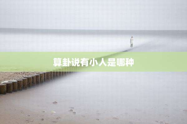 算卦说有小人是哪种