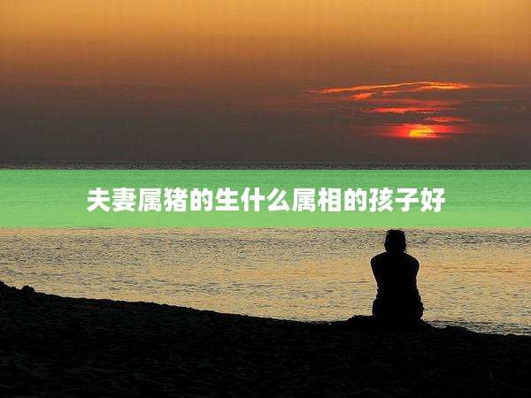 夫妻属猪的生什么属相的孩子好