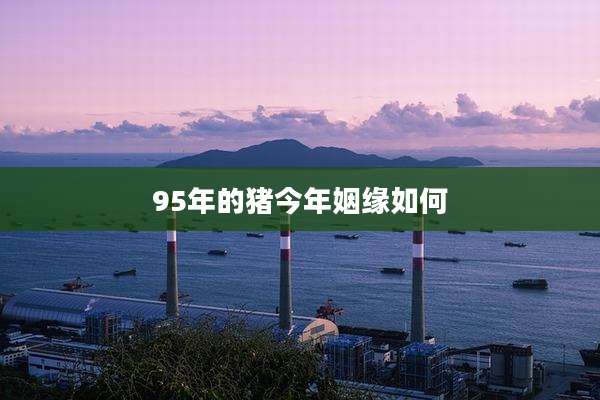 95年的猪今年姻缘如何