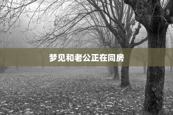 梦见和老公正在同房