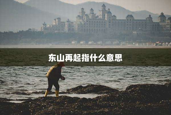 东山再起指什么意思