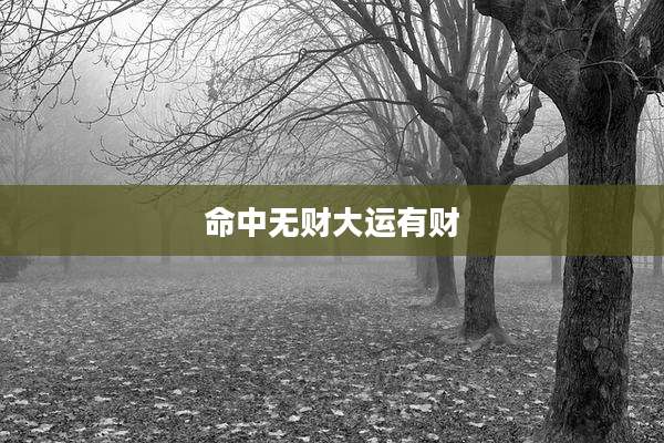 命中无财大运有财