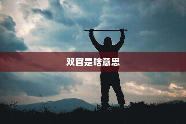 双官是啥意思