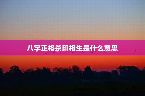 八字正格杀印相生是什么意思