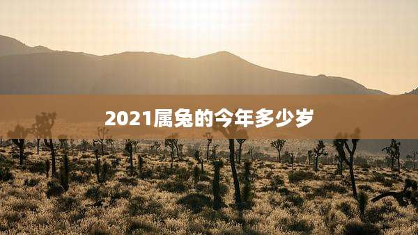 2021属兔的今年多少岁