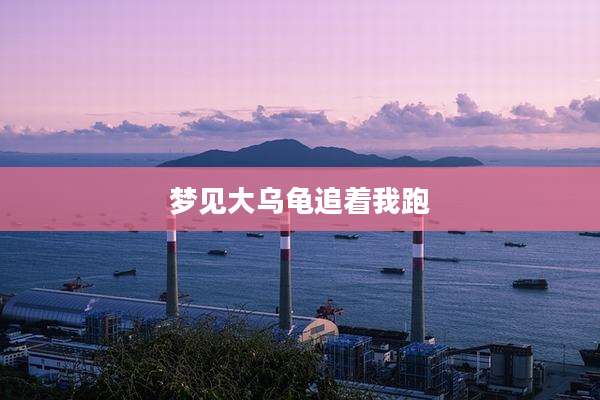 梦见大乌龟追着我跑