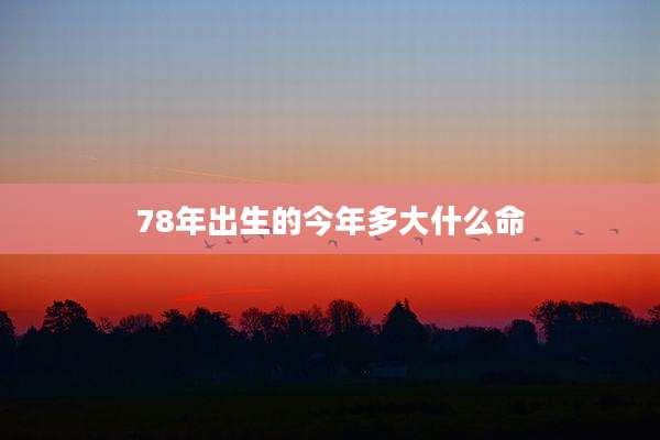 78年出生的今年多大什么命