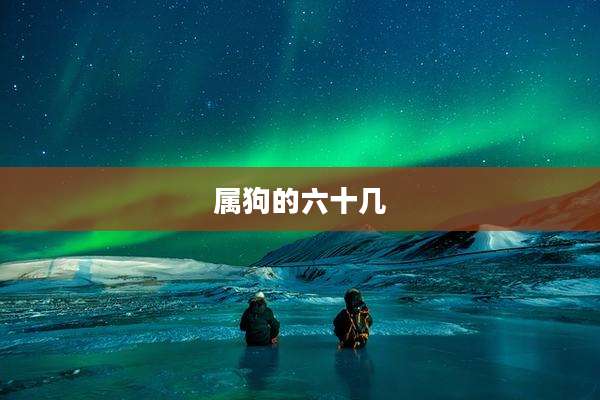 属狗的六十几