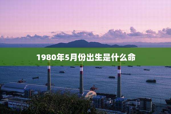 1980年5月份出生是什么命