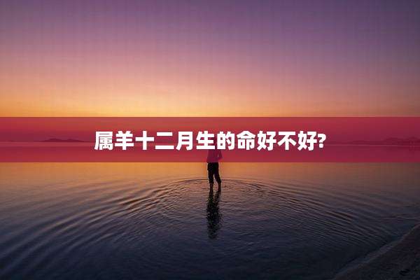 属羊十二月生的命好不好?