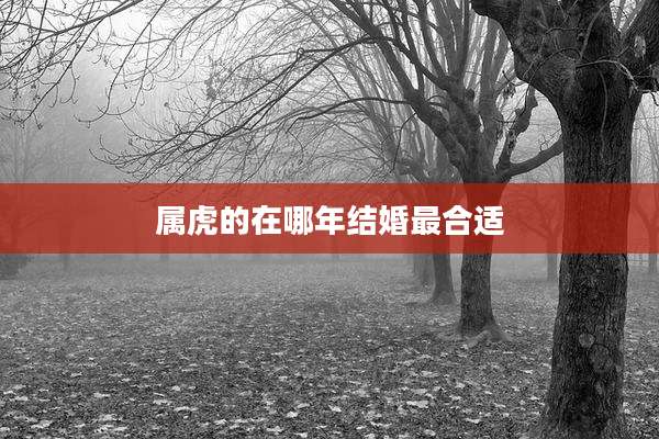 属虎的在哪年结婚最合适