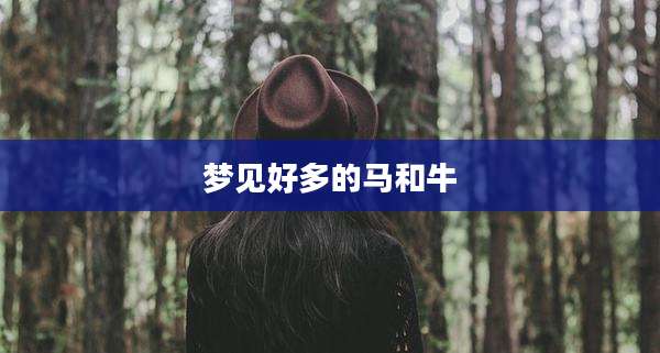 梦见好多的马和牛
