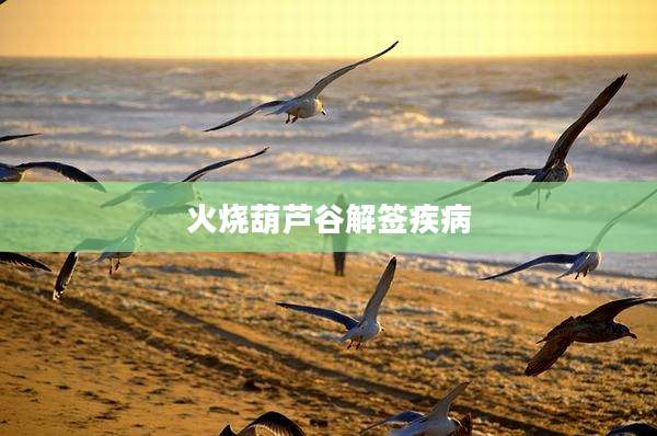 火烧葫芦谷解签疾病