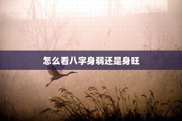 怎么看八字身弱还是身旺