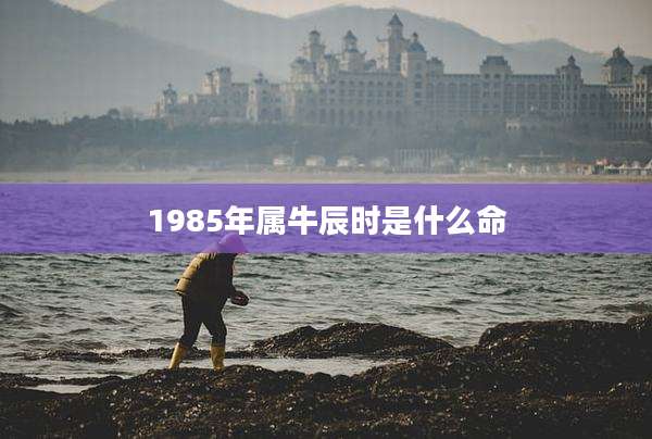 1985年属牛辰时是什么命