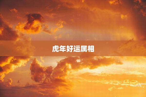 虎年好运属相