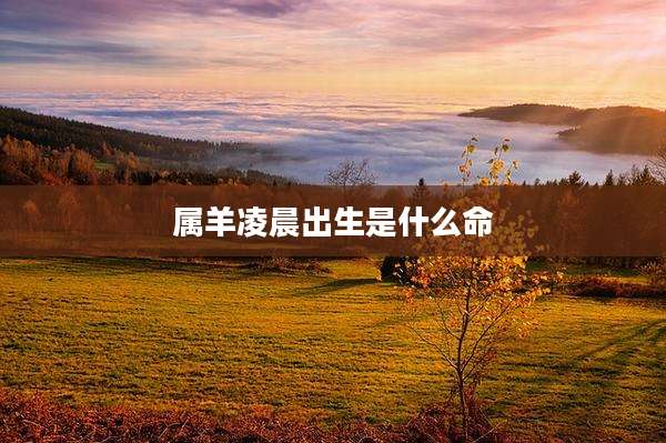 属羊凌晨出生是什么命