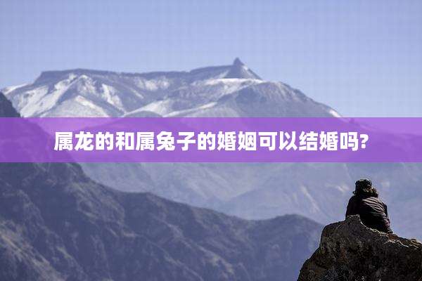 属龙的和属兔子的婚姻可以结婚吗?