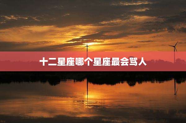 十二星座哪个星座最会骂人