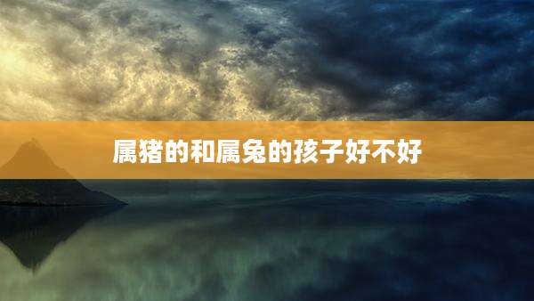 属猪的和属兔的孩子好不好