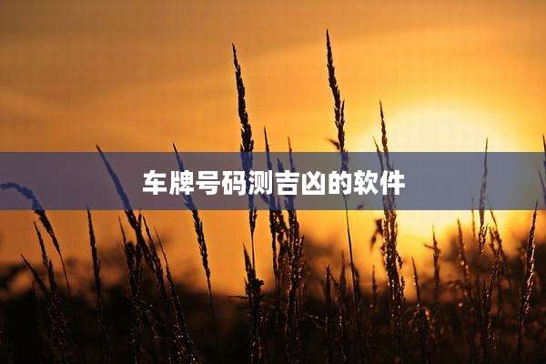 车牌号码测吉凶的软件