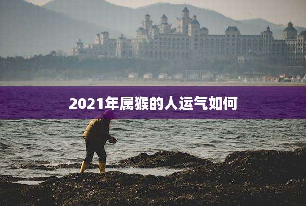 2021年属猴的人运气如何