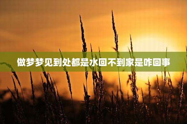 做梦梦见到处都是水回不到家是咋回事