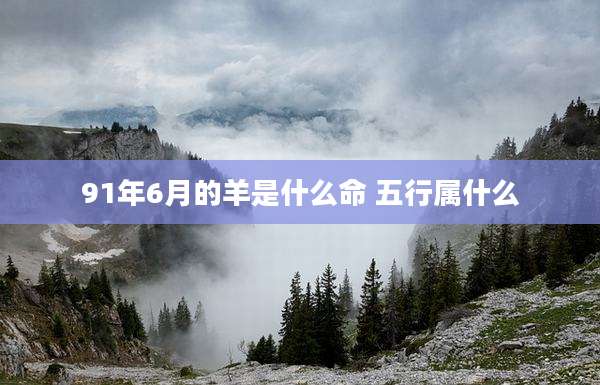91年6月的羊是什么命 五行属什么