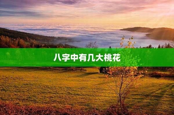 八字中有几大桃花
