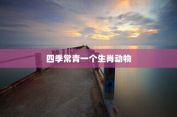 四季常青一个生肖动物