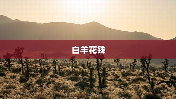 白羊花钱