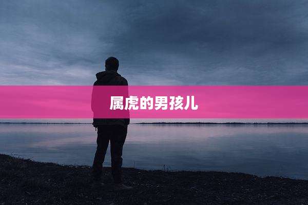 属虎的男孩儿